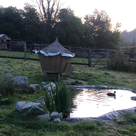 Le Champ Des Possibles Bed and Breakfast Manerbe Exteriör bild