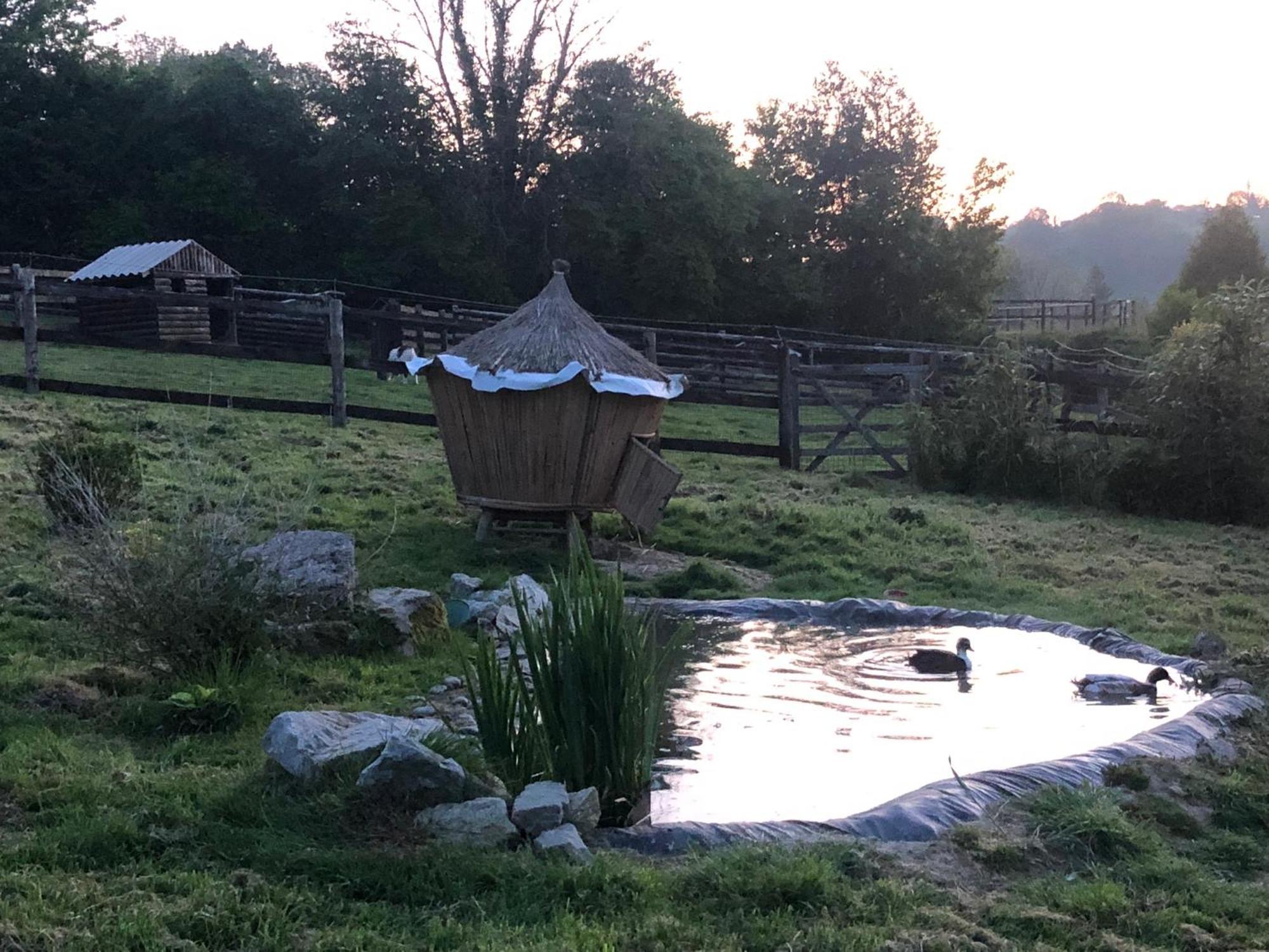 Le Champ Des Possibles Bed and Breakfast Manerbe Exteriör bild