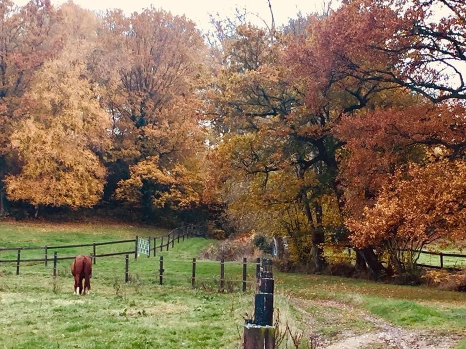 Le Champ Des Possibles Bed and Breakfast Manerbe Exteriör bild
