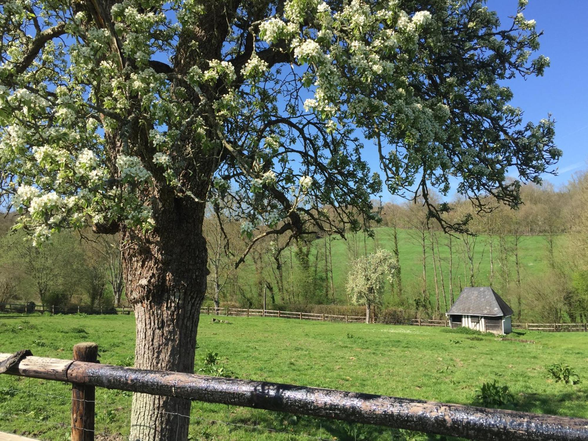 Le Champ Des Possibles Bed and Breakfast Manerbe Exteriör bild